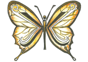 butterfly symbolism mythology resized
